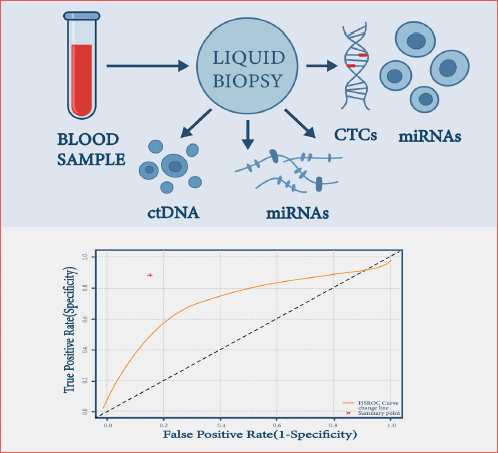 Schematic illustration of the liquid biopsy workflow and its diagnostic application in hypopharyngeal carcinoma, highlighting the integration of circulating tumour DNA (ctDNA), circulating tumour cells (CTCs), and microRNAs (miRNAs) for comprehensive molecular assessment.