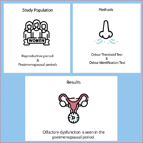 Examining the relationship between duration of menopause and olfactory dysfunction by comparing odour threshold and odour identification tests of women of reproductive age and postmenopausal women.