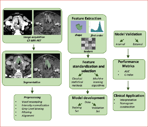 Radiomic workflow in laryngeal squamous cell carcinoma (LSCC): overview of the radiomic pipeline, including standardised image acquisition, pre-processing and normalisation, tumour segmentation, extraction of morphological, intensity-based and texture features, feature selection and dimensionality reduction, and integration with clinical data to develop predictive models supporting diagnostic and prognostic assessment in LSCC.