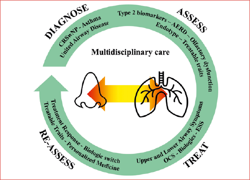 Framework for an integrated, multidisciplinary approach to optimise care in multimorbid patients.